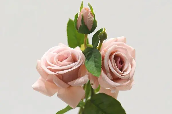 High-Volume Real Touch Roses for Global Wedding Markets